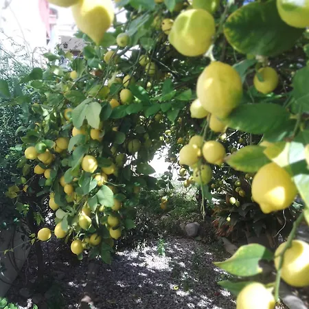 Tatil Evi Casa Paula